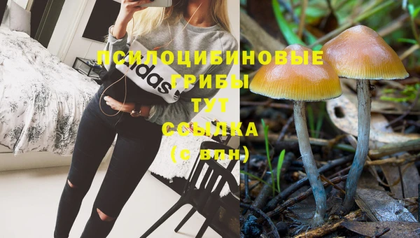 спиды Арсеньев