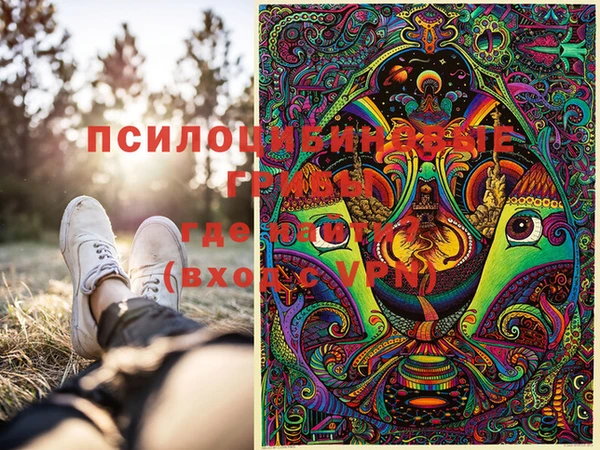 спиды Арсеньев