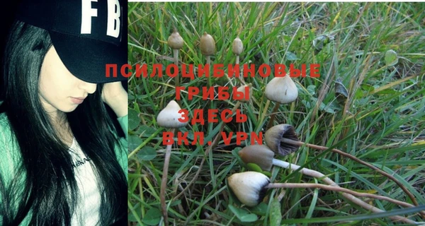 гашиш Аркадак
