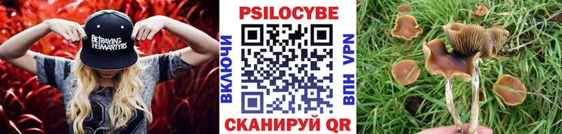 Галлюциногенные грибы прущие грибы  Печоры 